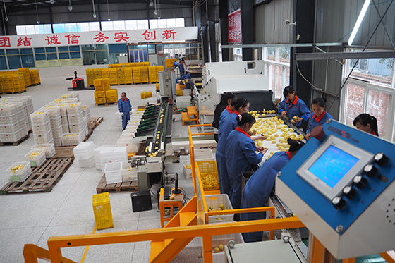 精準(zhǔn)扶貧下初級(jí)農(nóng)產(chǎn)品的標(biāo)志性品牌打造路徑