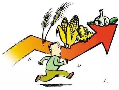 糧食價(jià)格持續(xù)走低 探究初級(jí)農(nóng)產(chǎn)品市場(chǎng)困境