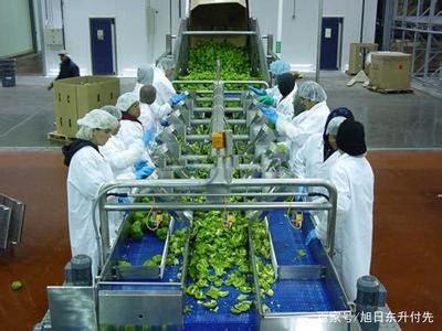 300萬(wàn)資金在鄉(xiāng)村 初級(jí)農(nóng)產(chǎn)品投資項(xiàng)目的策略與機(jī)遇